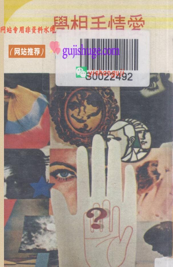 《爱情手相学》