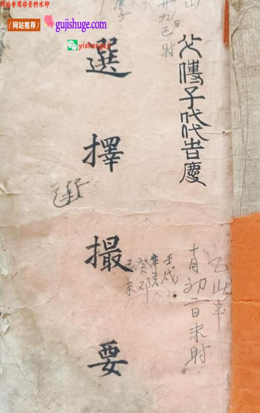《选择撮要》百度网盘下载
