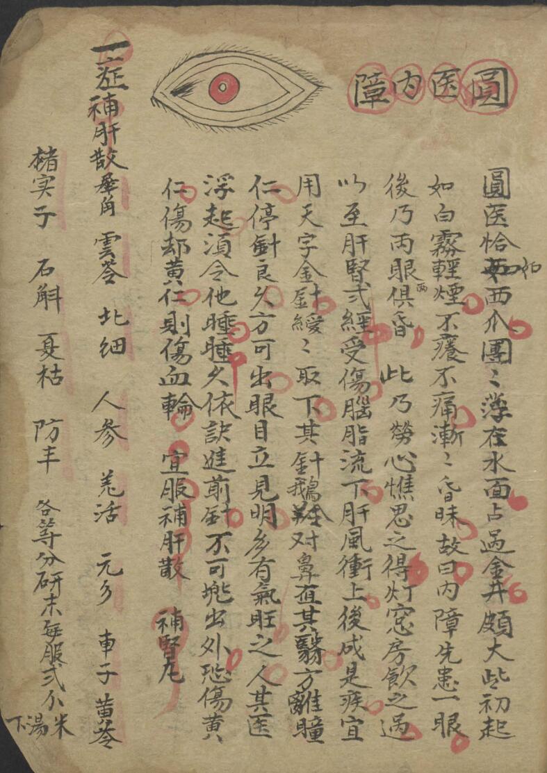 龙树祖师秘传眼科七拾贰症全图插图1