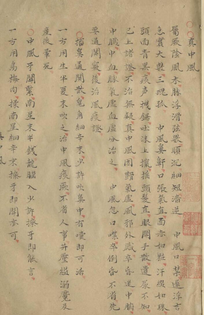 《痘疹仁端録》插图1