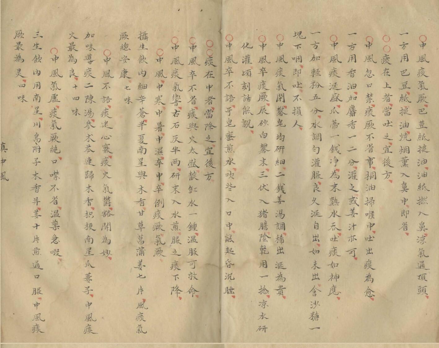 《痘疹仁端録》插图3