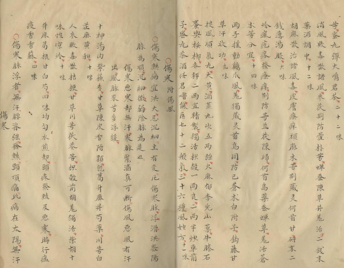 《痘疹仁端録》插图11