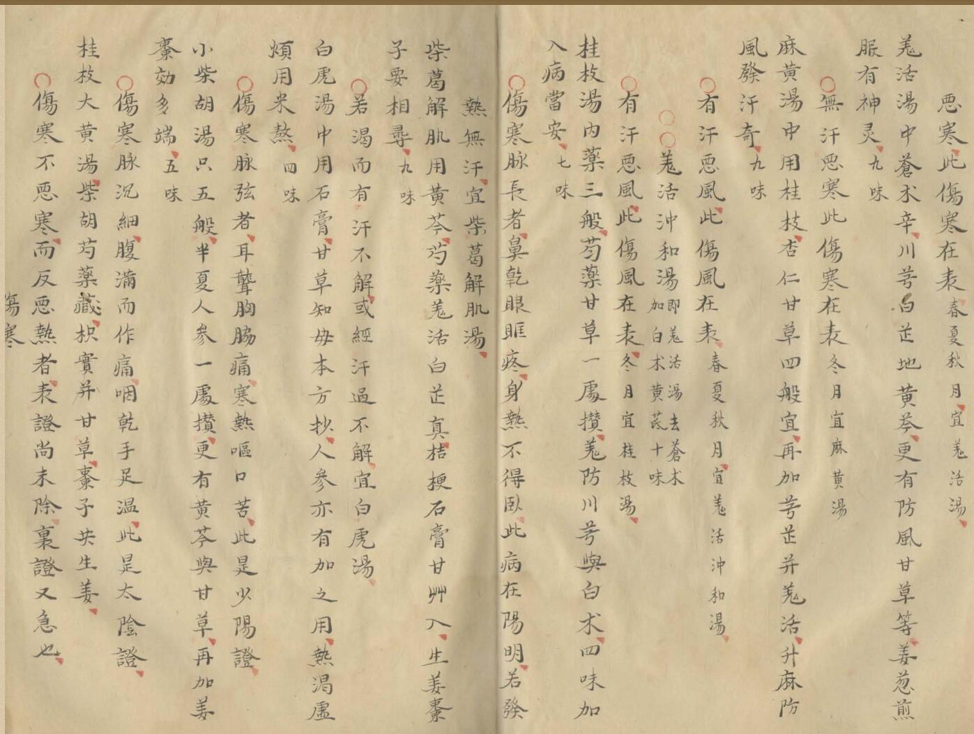 《痘疹仁端録》插图13
