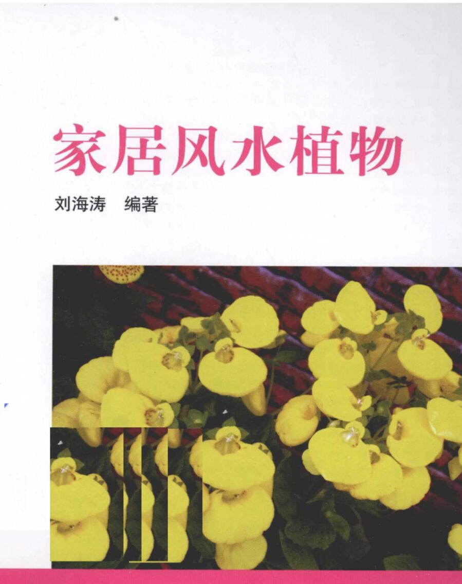 《家居风水植物》插图1
