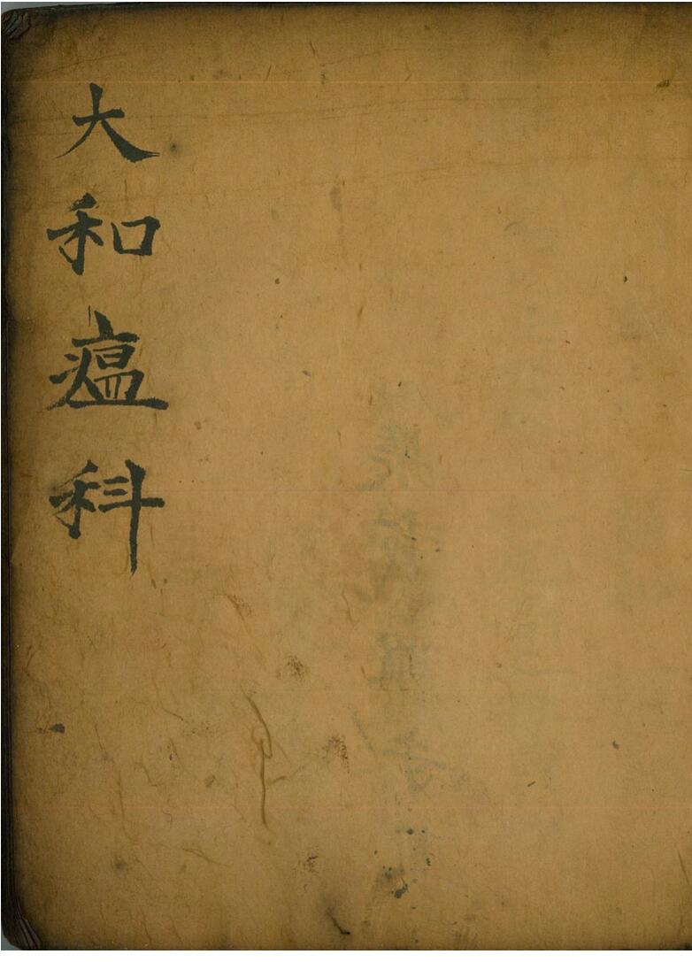 《大和瘟科》插图1