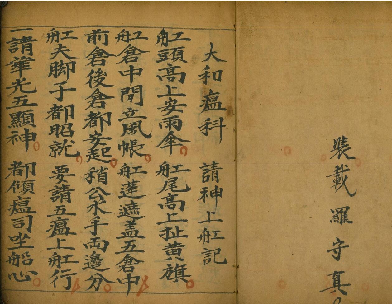 《大和瘟科》插图3