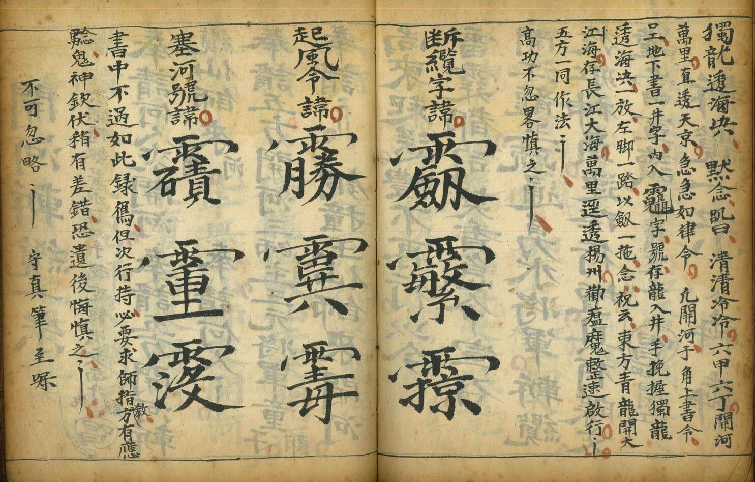 《大和瘟科》插图15