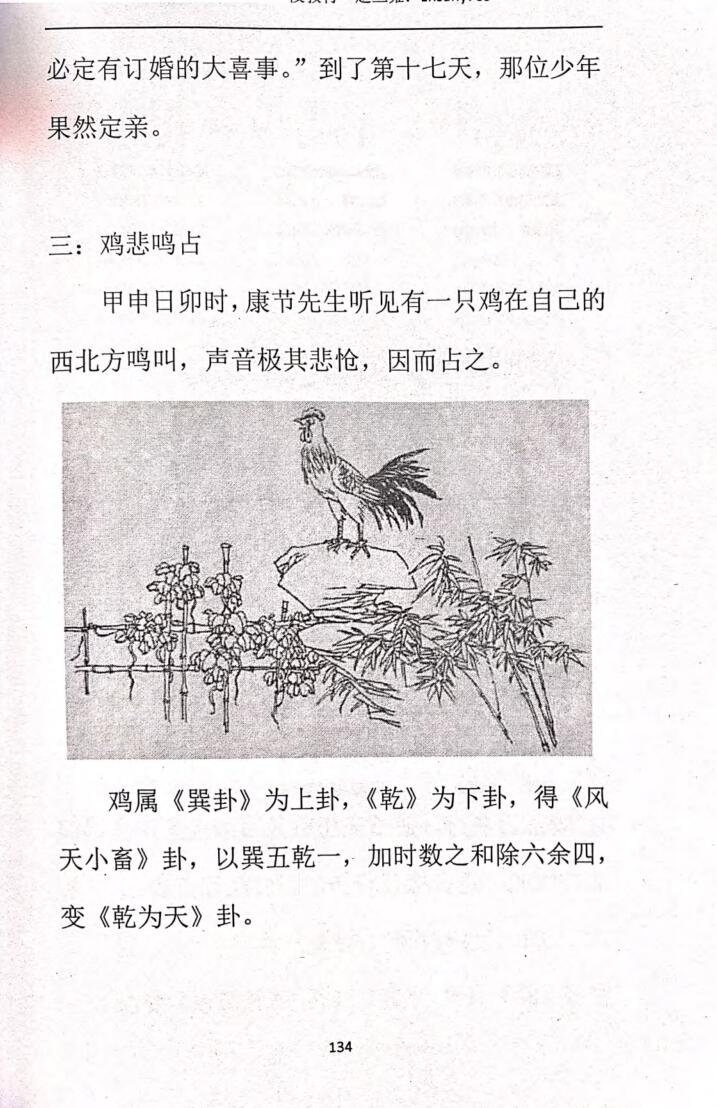 《梅花推演记》插图15