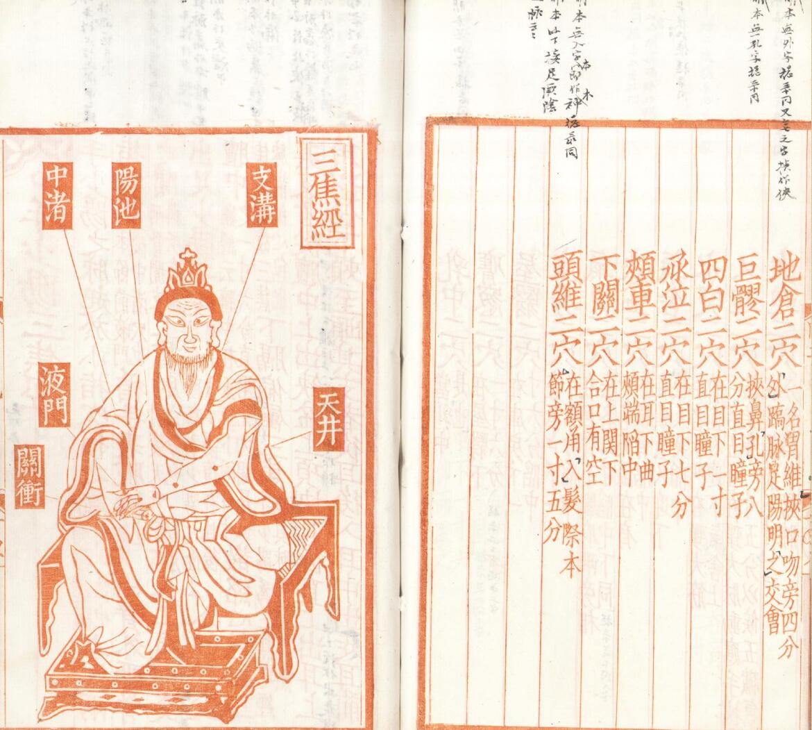 《新刊补注铜人腧穴针灸图经》五卷插图15