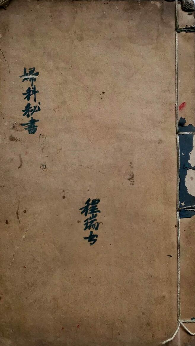《妇科秘书》插图1