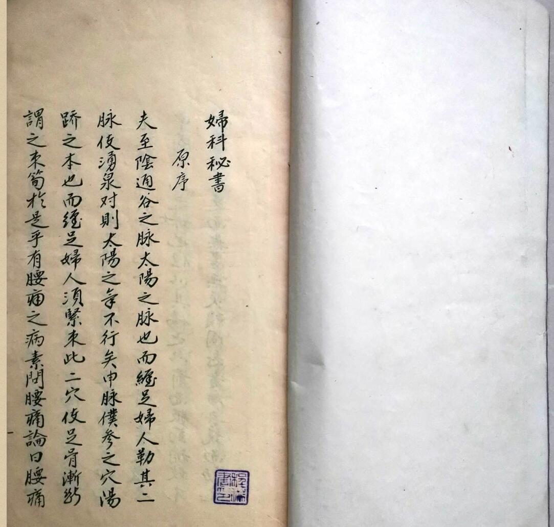 《妇科秘书》插图3