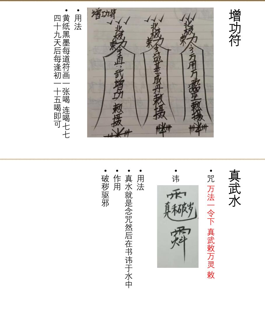 北极驱邪院北极真武先天一脉传法师法本插图9