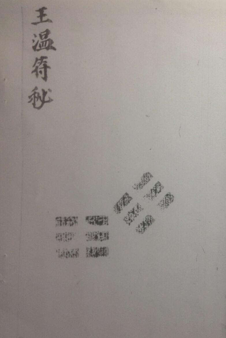 《王温符秘》插图1