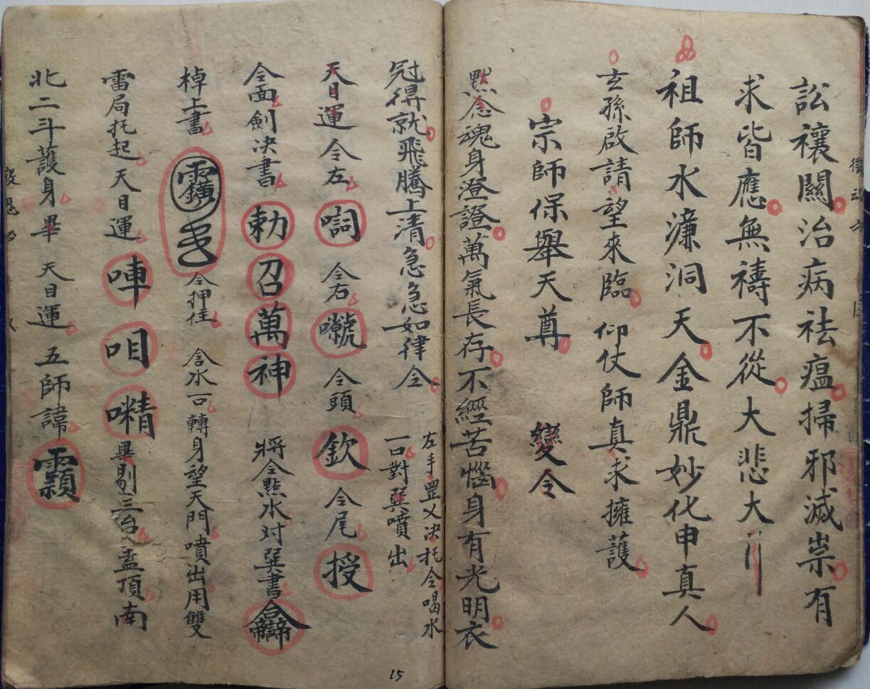 《先天徵魂保病科》插图13
