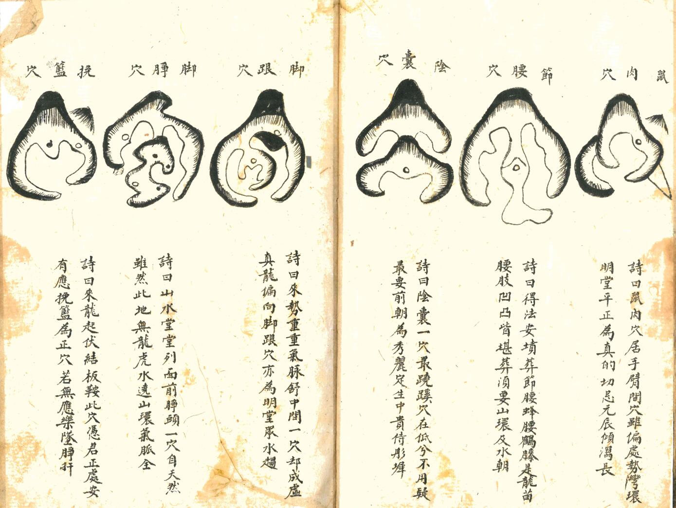 《地理心学统宗》震集穴法插图13