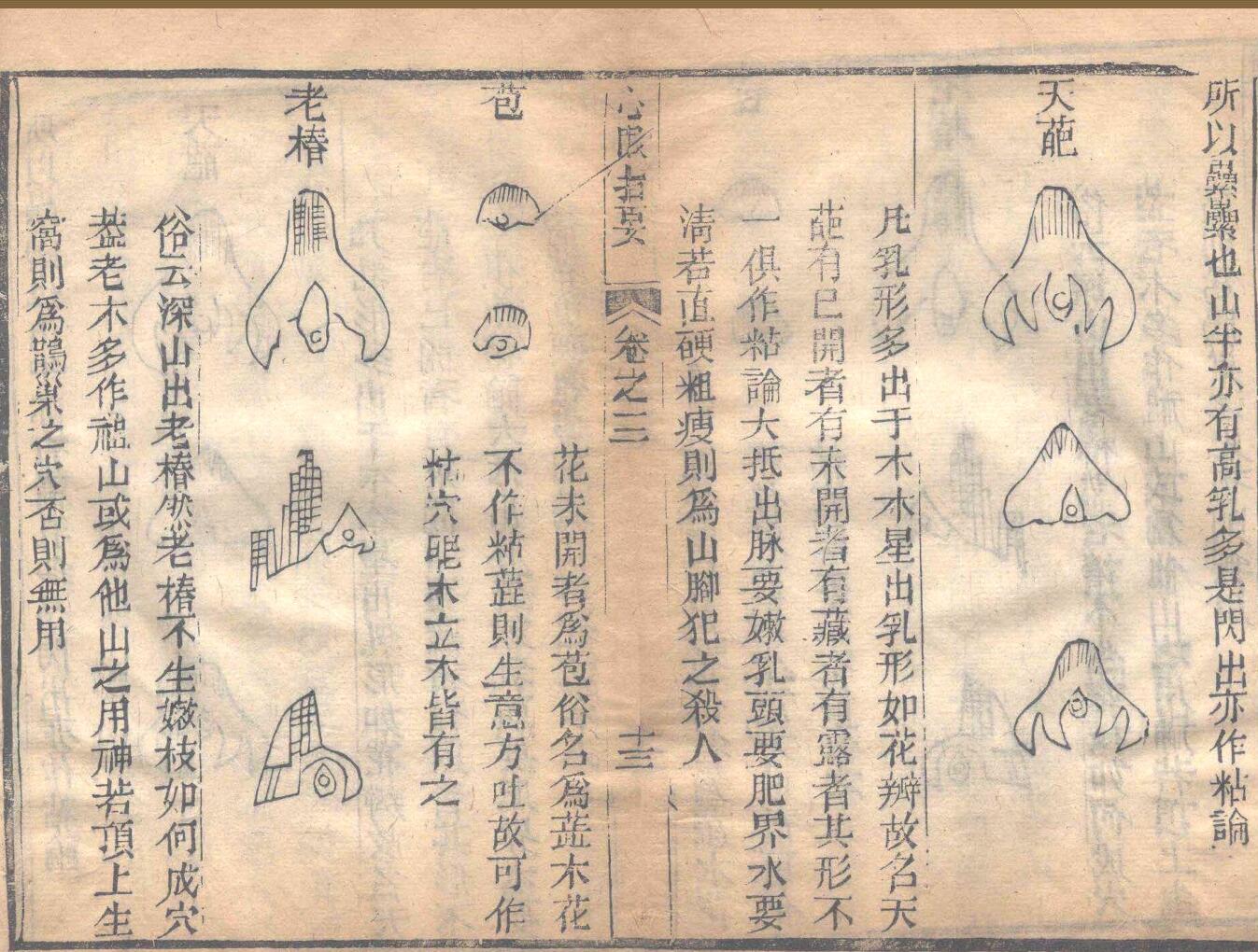 章仲山 《心眼指要》插图13
