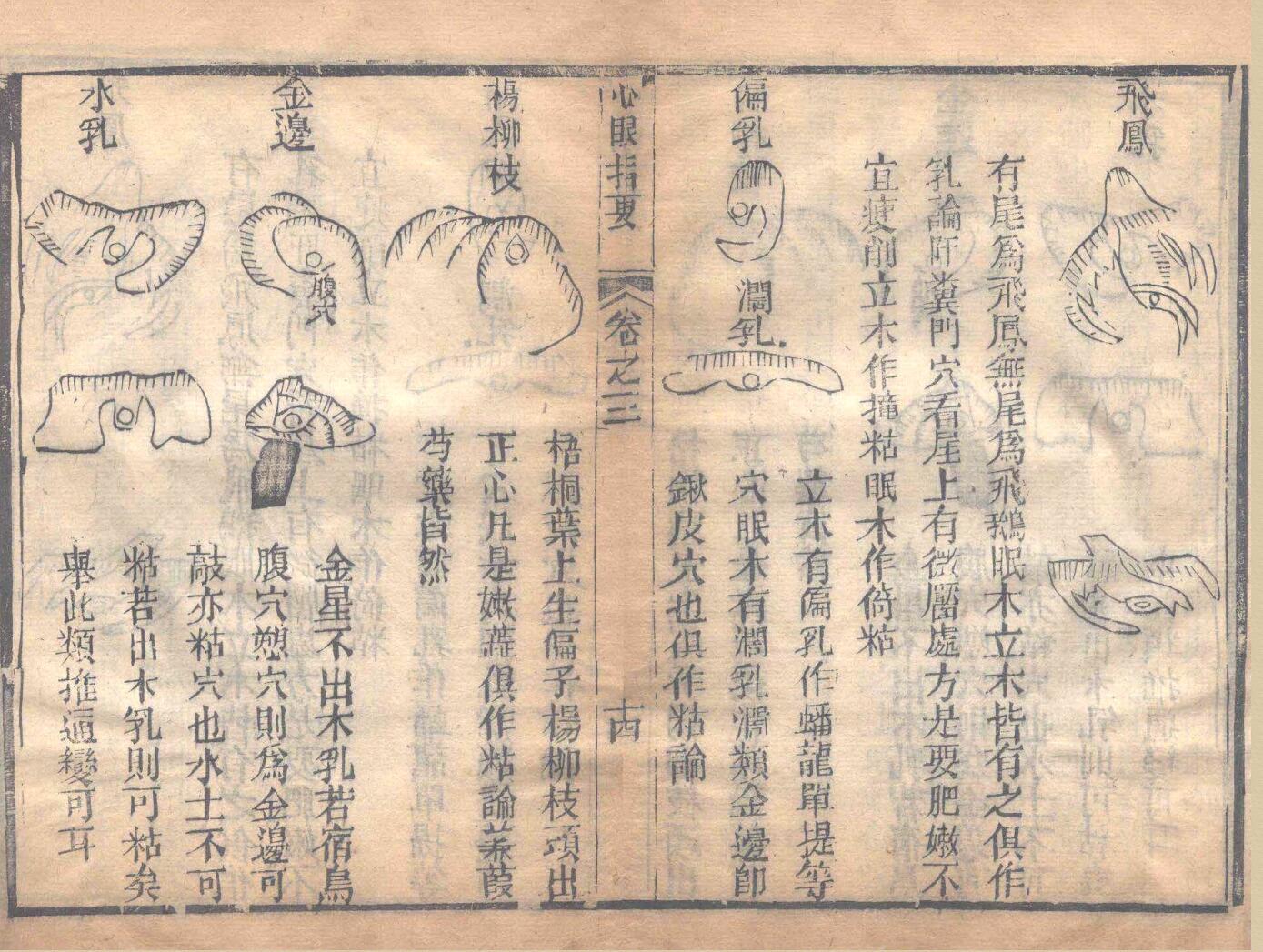 章仲山 《心眼指要》插图15