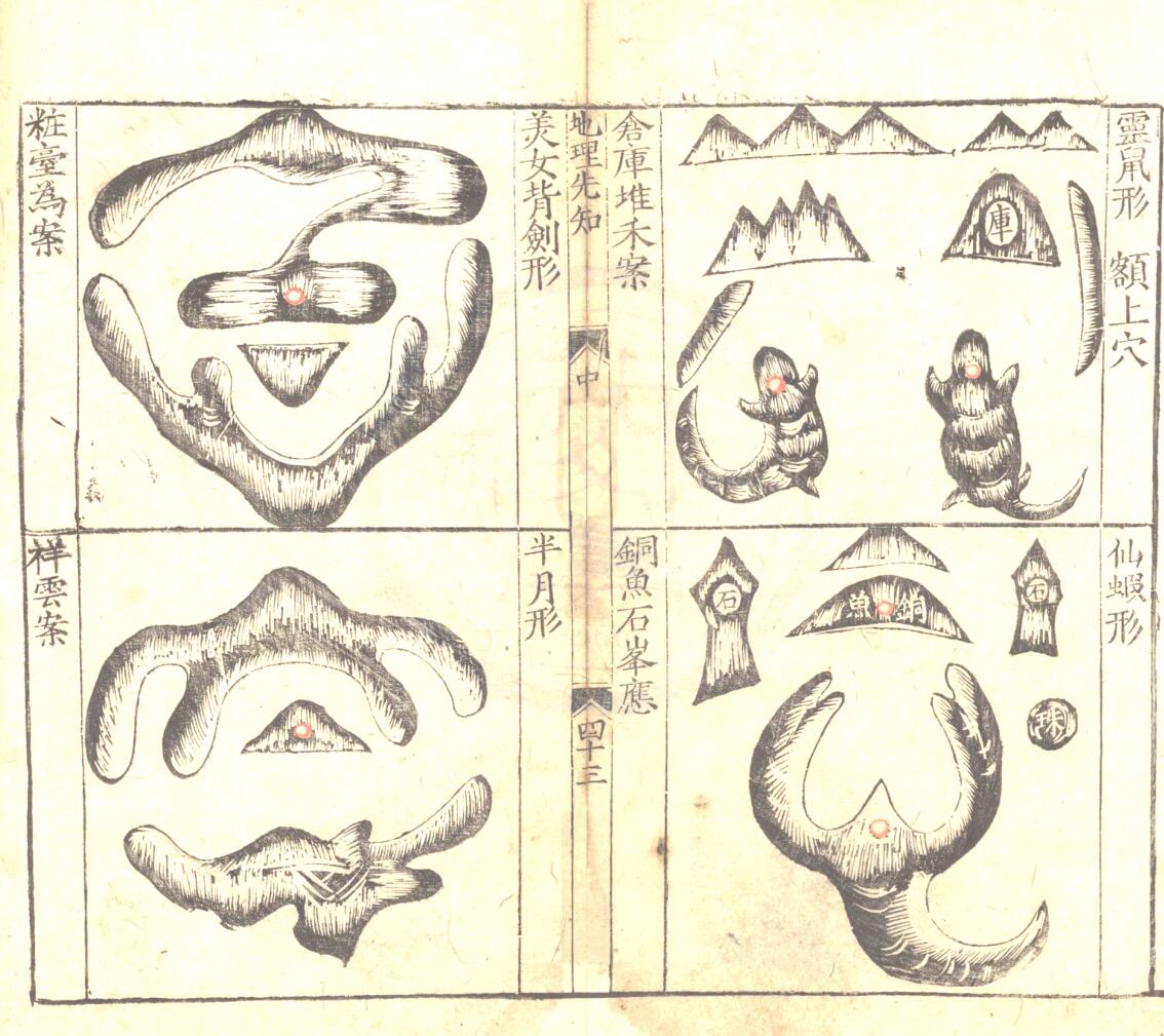 《入眼福地先知》插图15