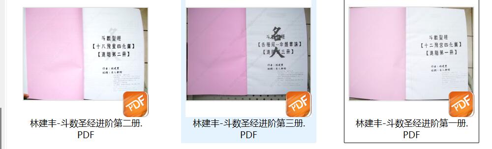 林建丰-《斗数圣经进阶篇-飞宫四化、飞星四化篇、命盘实论(有水印)》插图11
