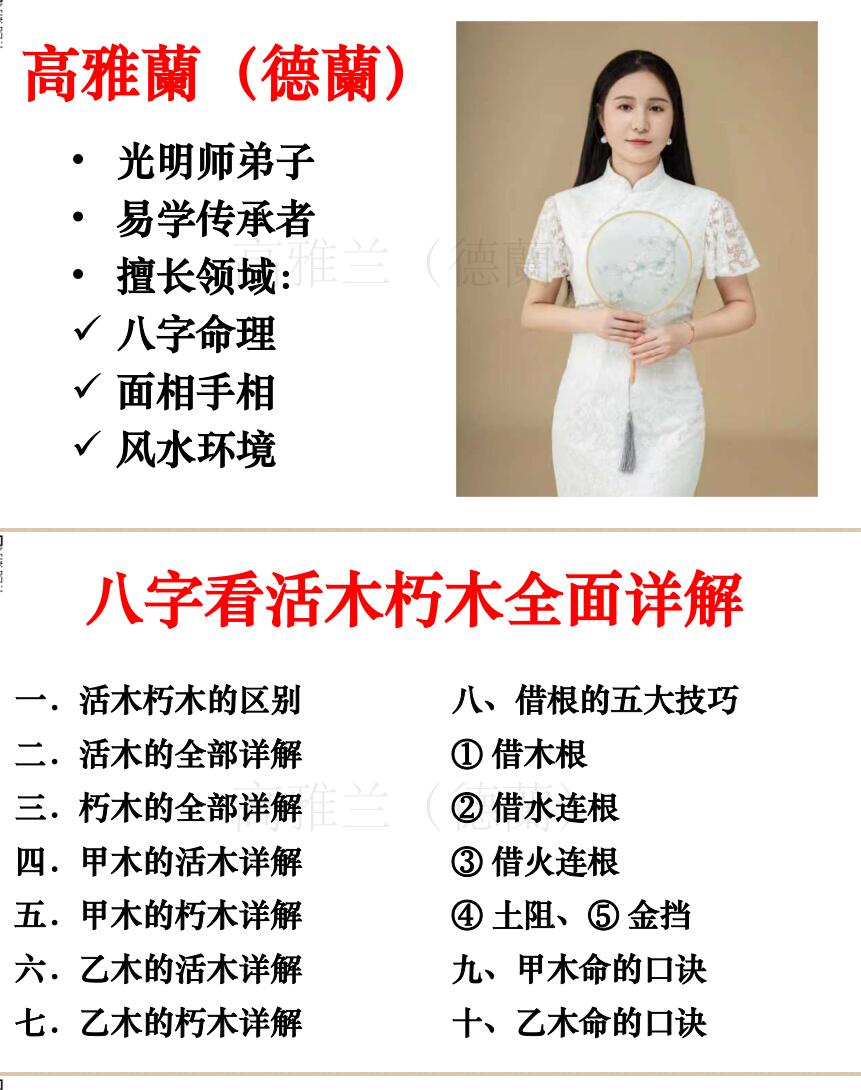 高雅兰《八字看活木朽木全面详解》插图1