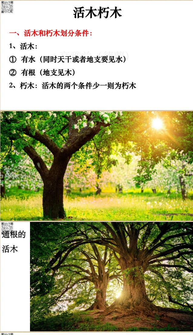 高雅兰《八字看活木朽木全面详解》插图5