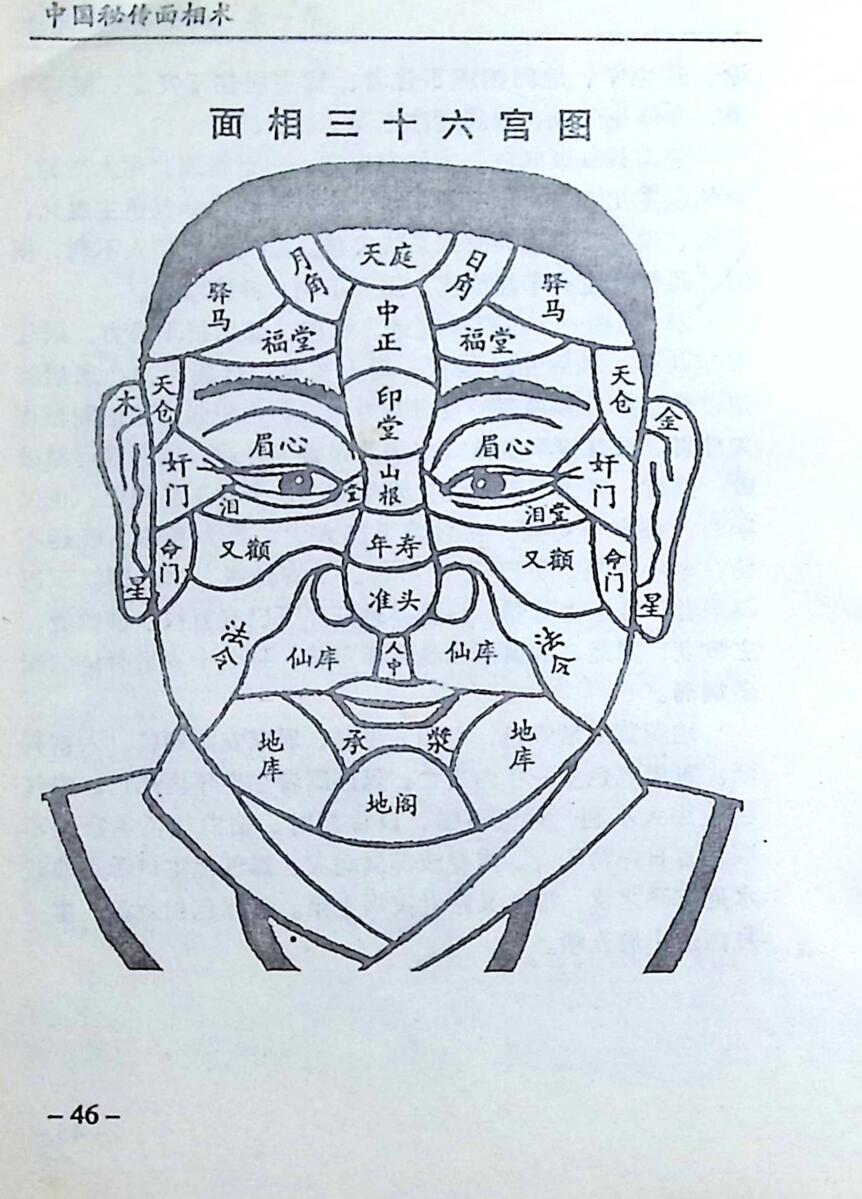 《秘传面相术》插图13