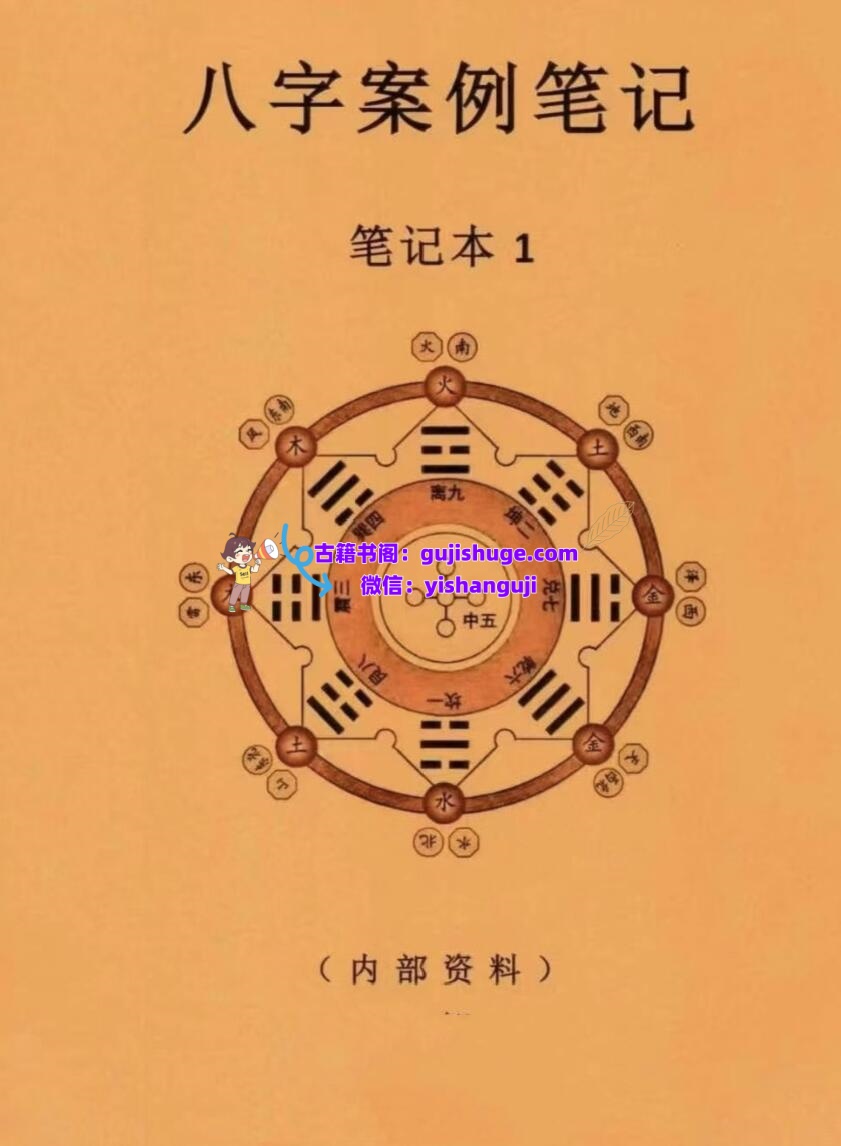 八字案例笔记一套两本PDF电子书2本插图1