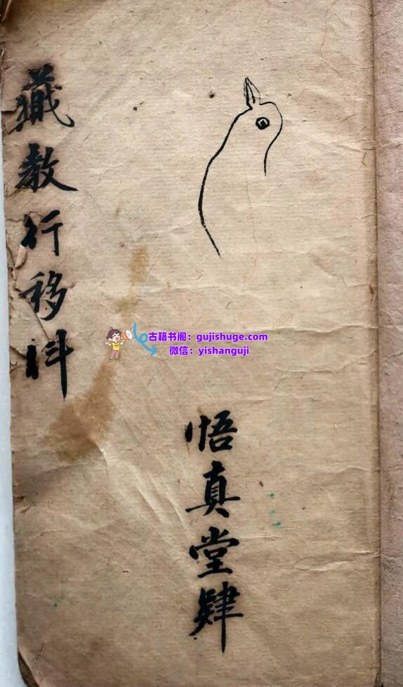 《 藏教行移科》插图1