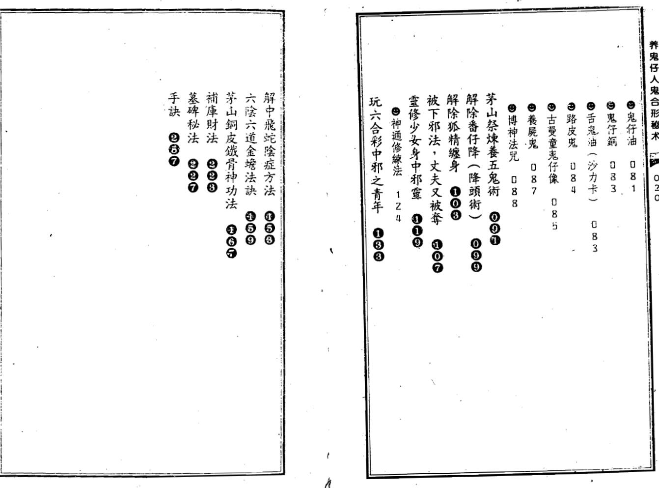 苏连龙《养鬼仔人鬼合形秘术》插图5