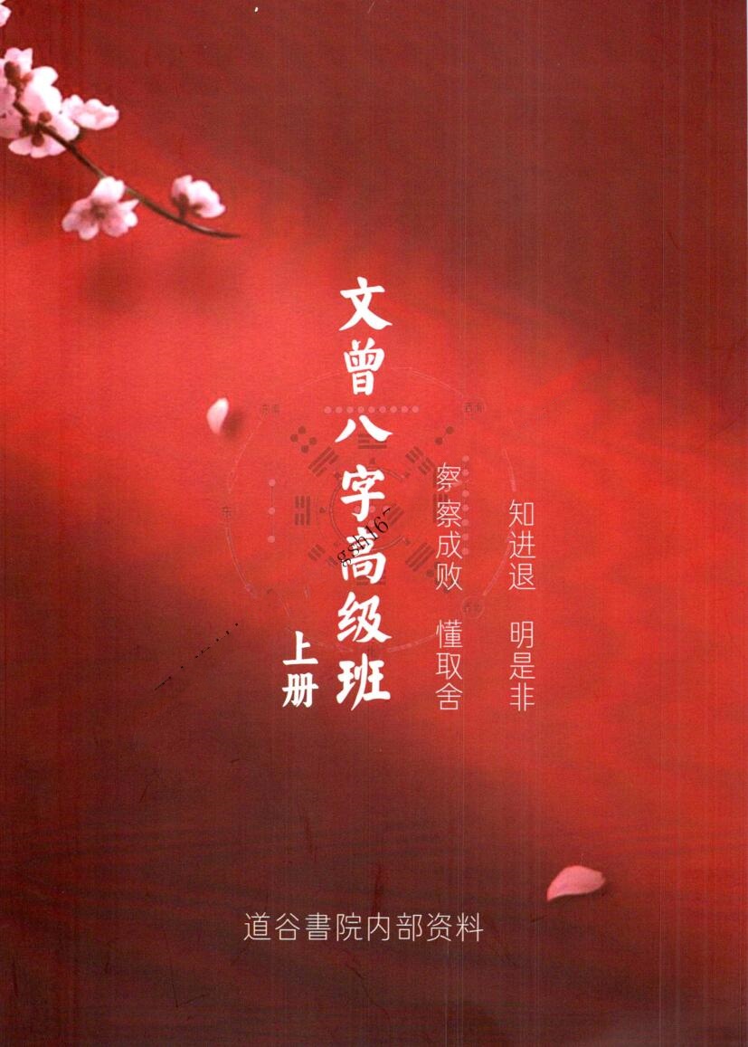 文曾-《盲派八字高级班》插图1
