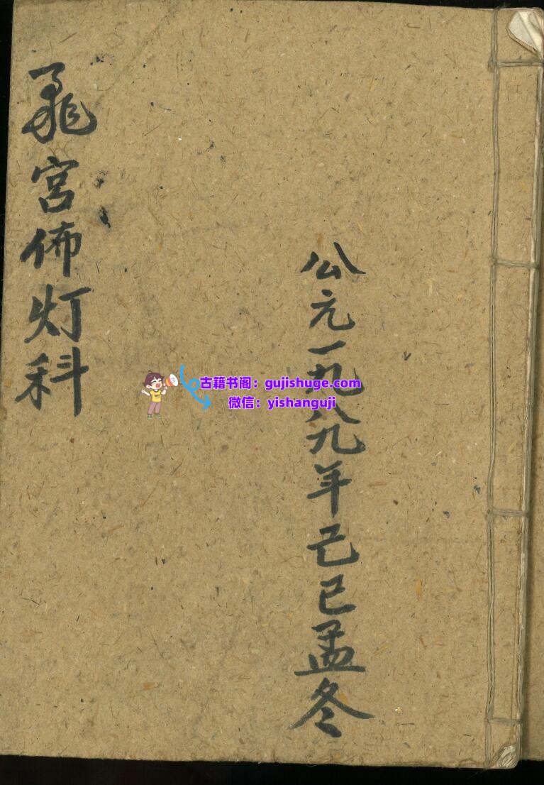 《飞宫佈灯科》插图1