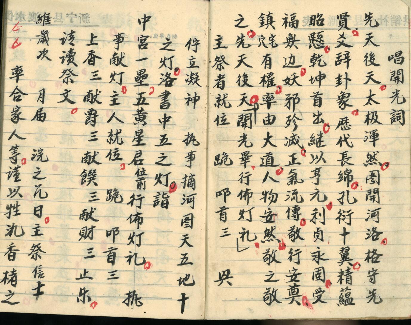 《飞宫佈灯科》插图7