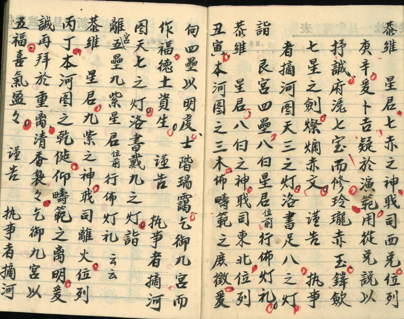 《飞宫佈灯科》插图11