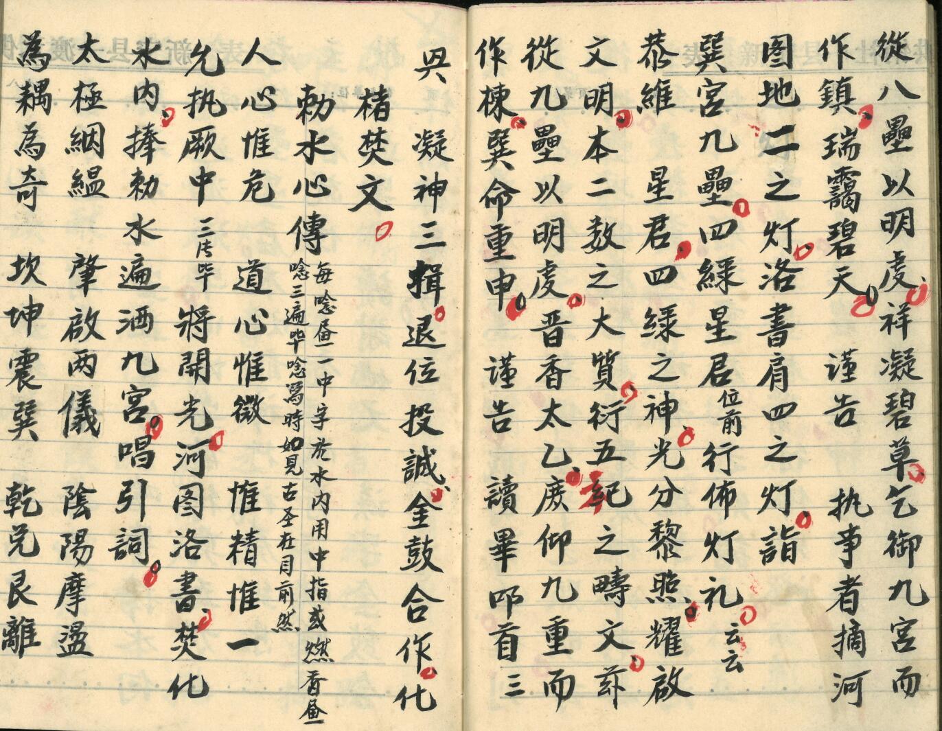 《飞宫佈灯科》插图15