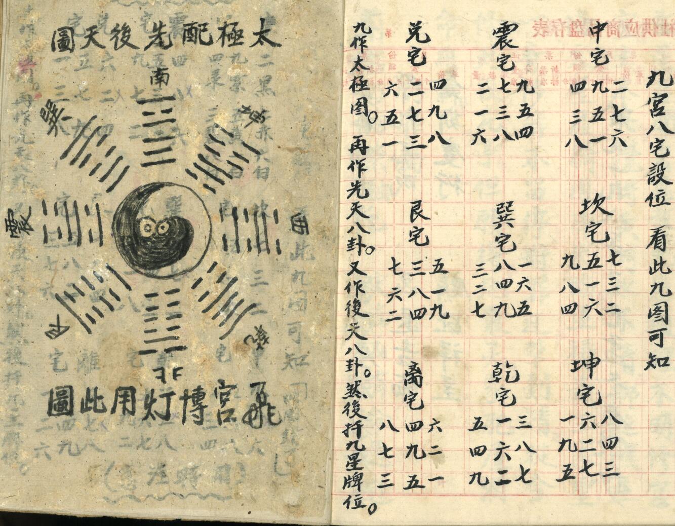 《飞宫佈灯科》插图17