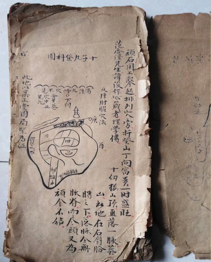江西真传焦仁山西山草庐真旨八条歌真诀残本插图5