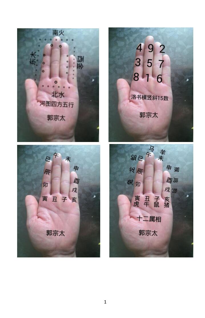《易学130种掌诀》插图1