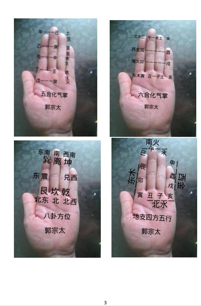 《易学130种掌诀》插图5