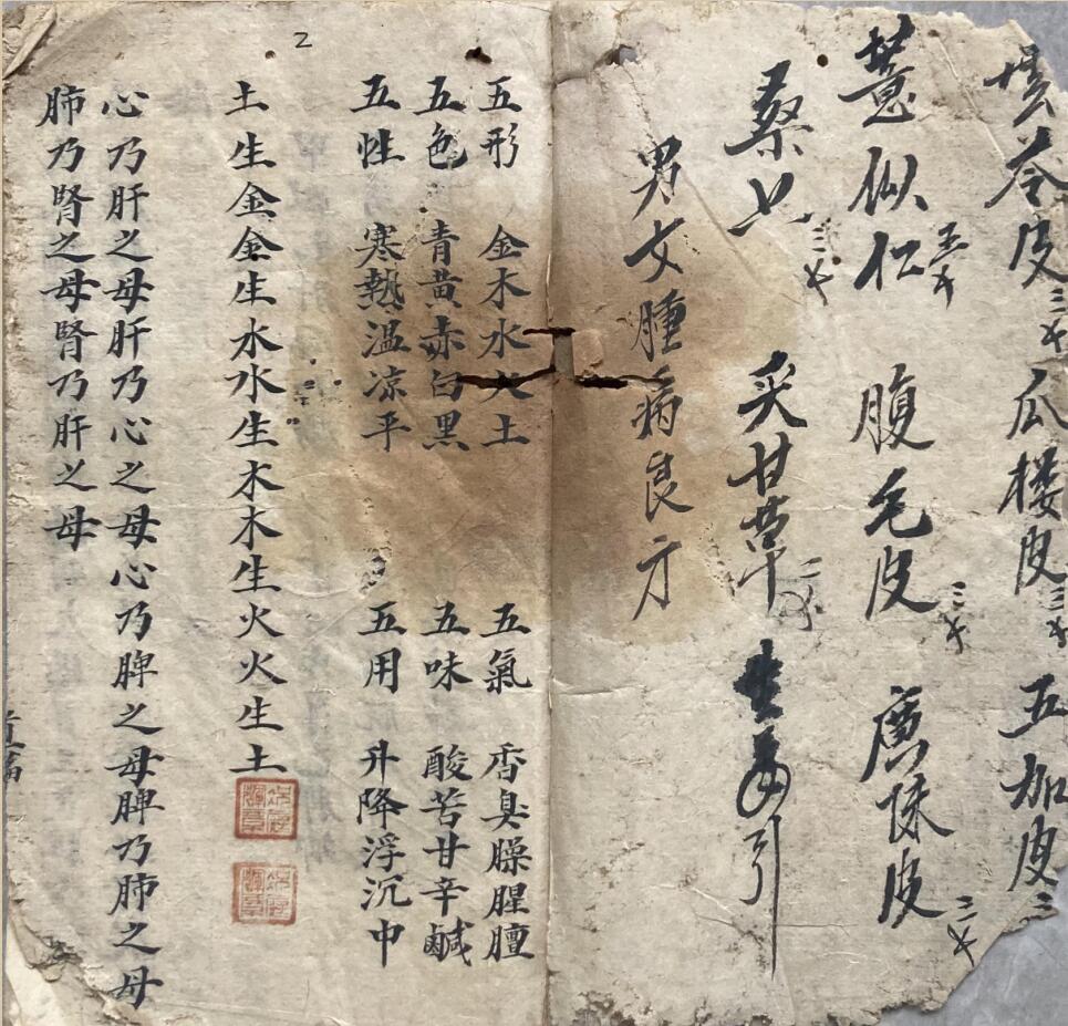《手抄医书良方》插图3