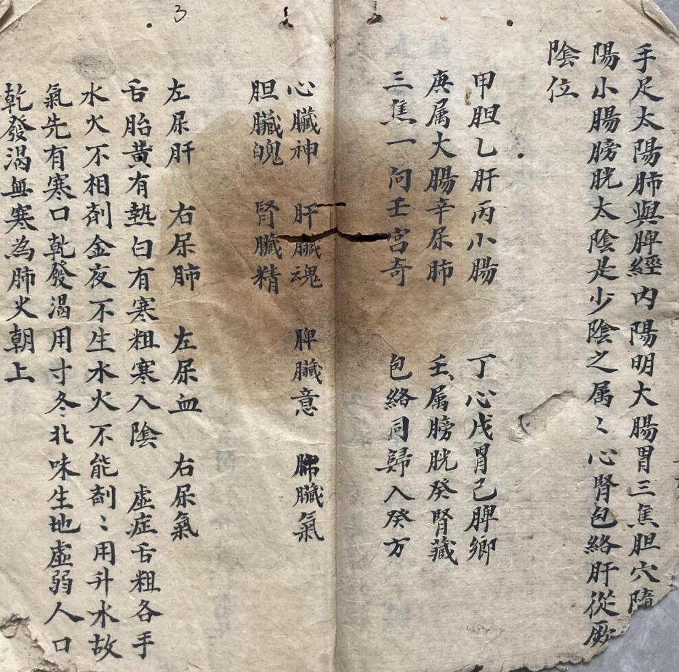《手抄医书良方》插图5