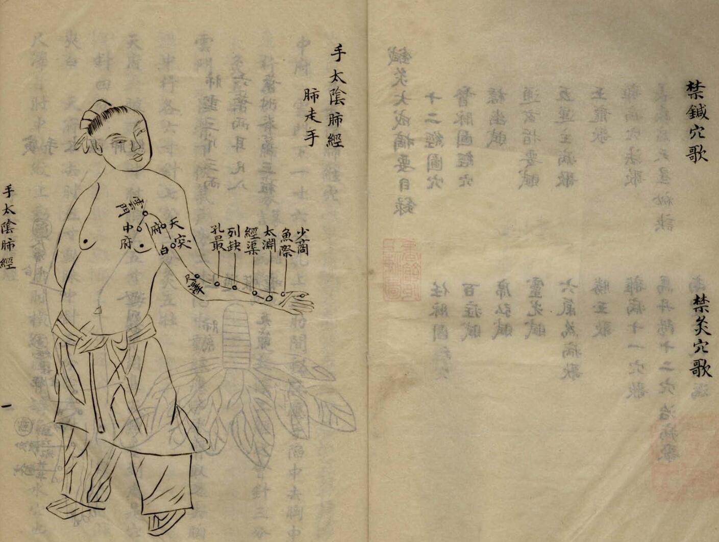 《针灸大成摘要》插图5