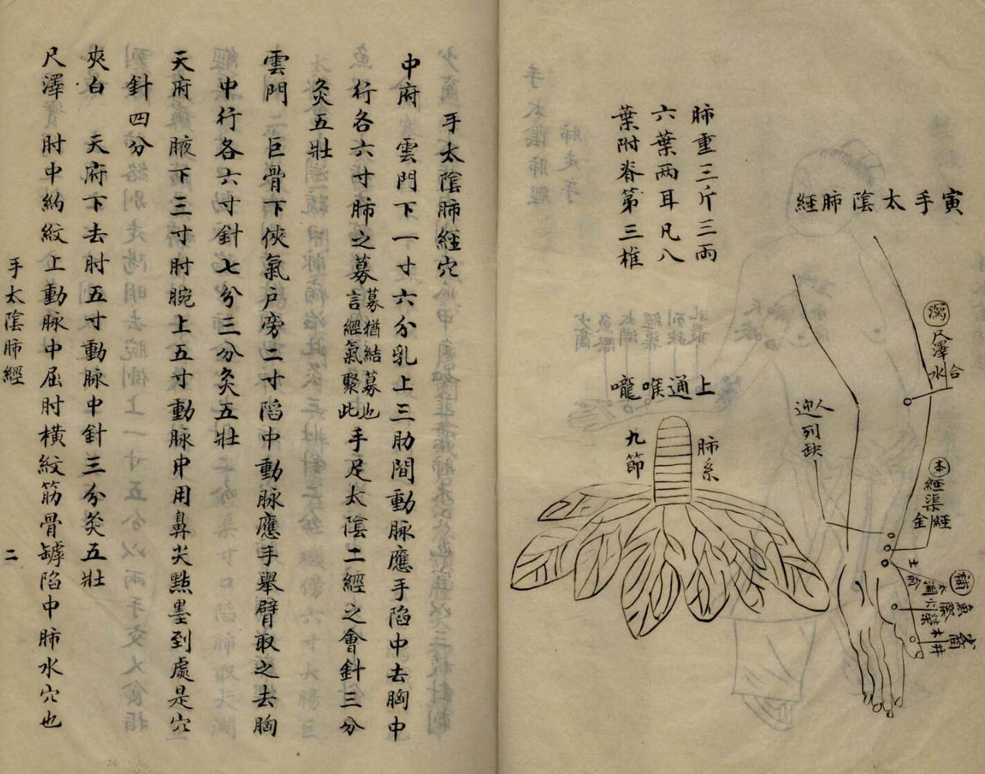 《针灸大成摘要》插图7