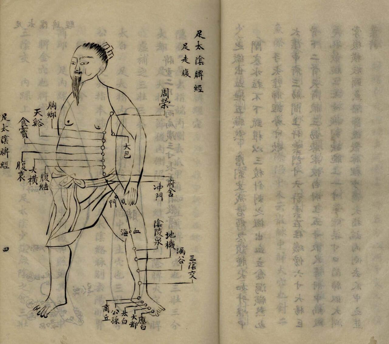 《针灸大成摘要》插图11