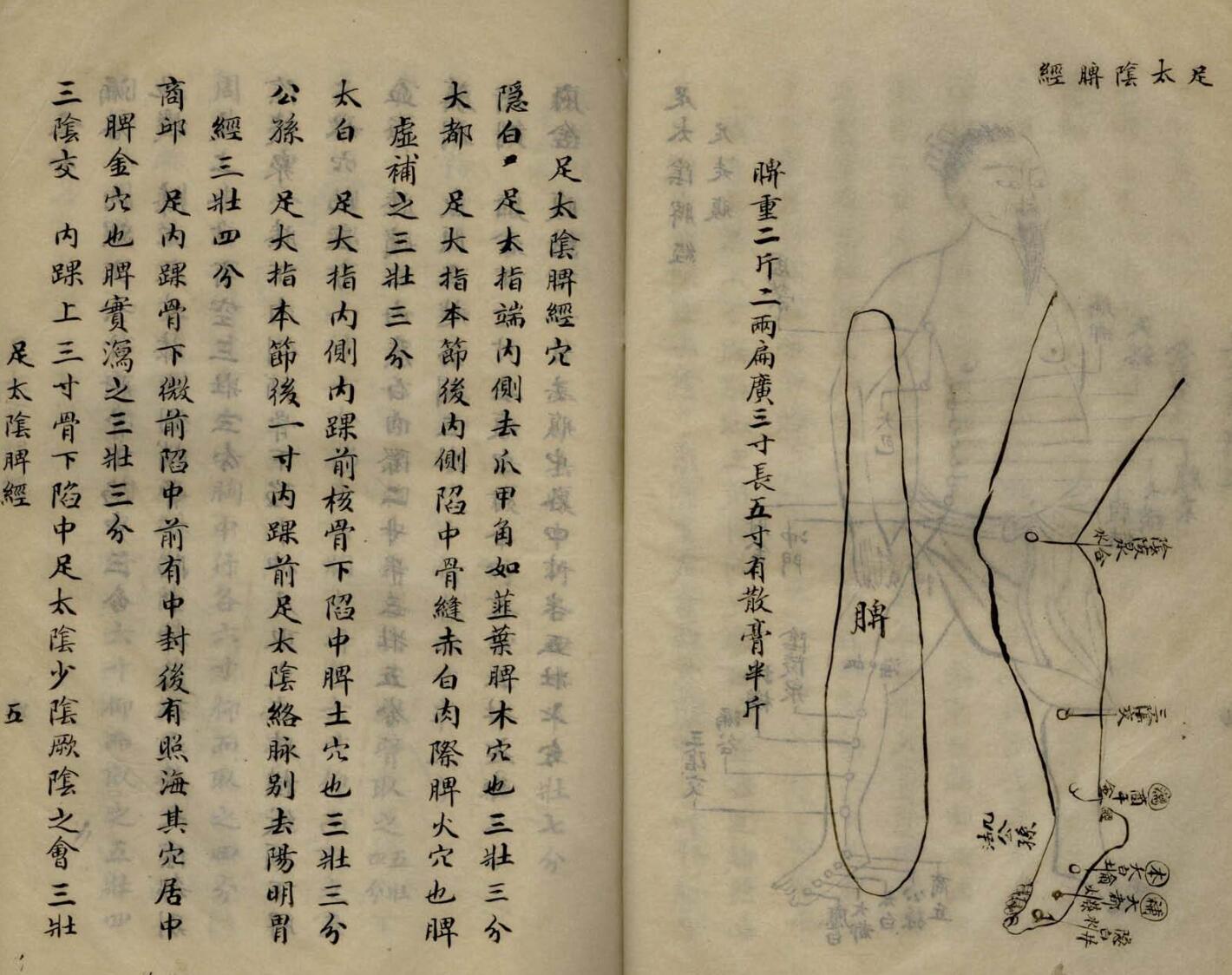 《针灸大成摘要》插图13