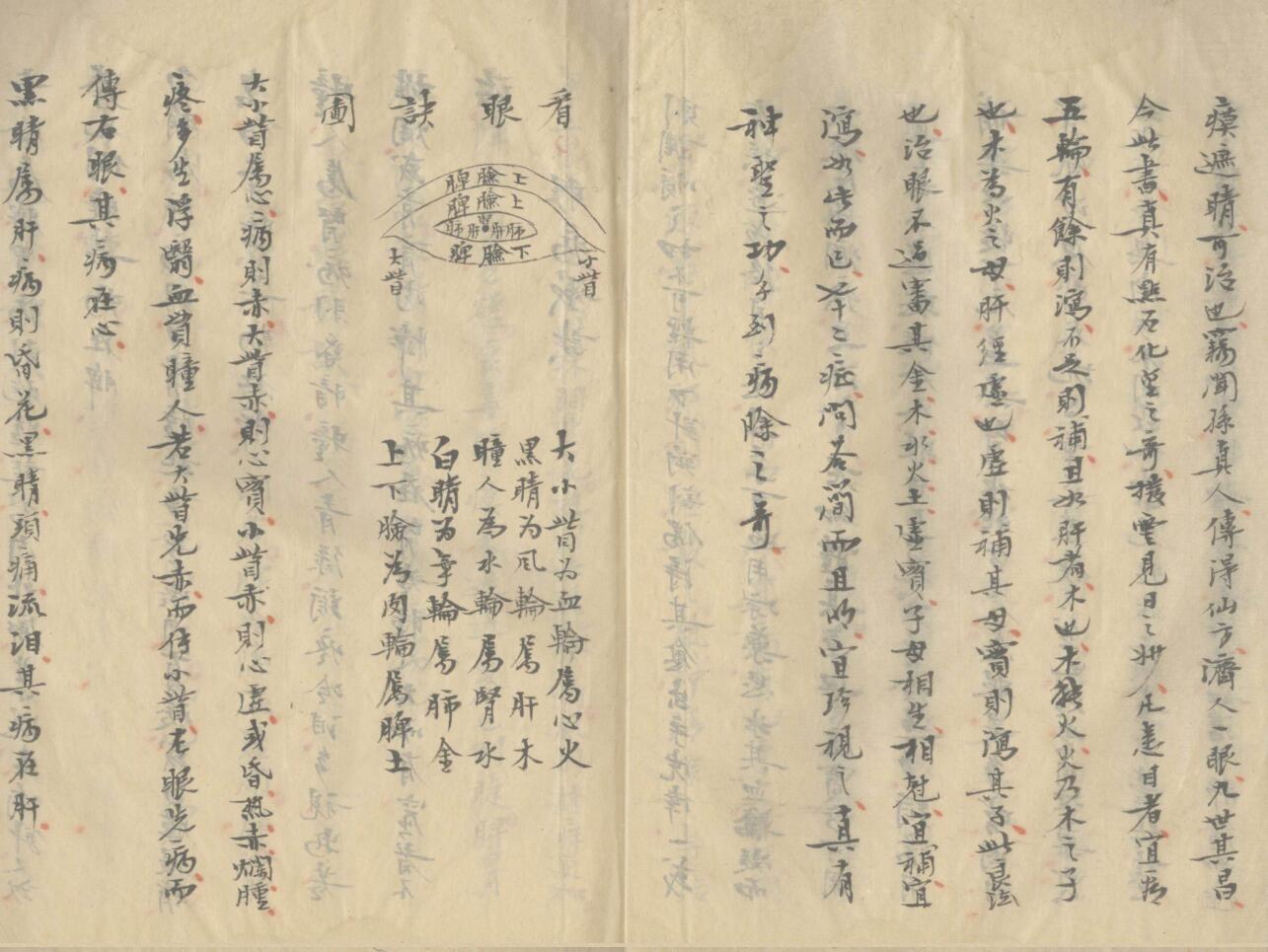 《异授眼科》插图7