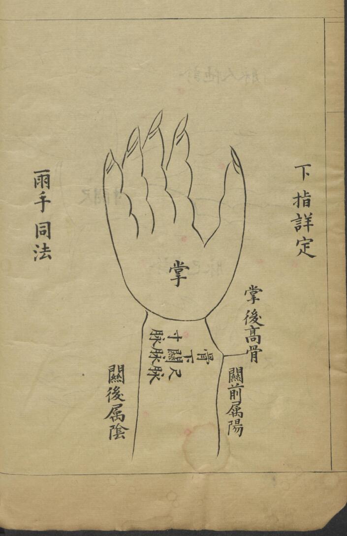 脉理正宗.[清乾隆]郎毓純参辑.清光绪二十四年赵群生抄本插图7