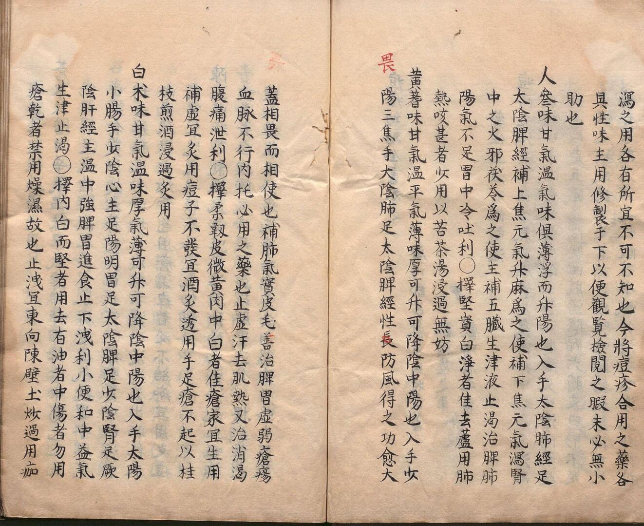 痘疹幼幼心书 17卷 吕献策（明）写本 ,文政3年插图5