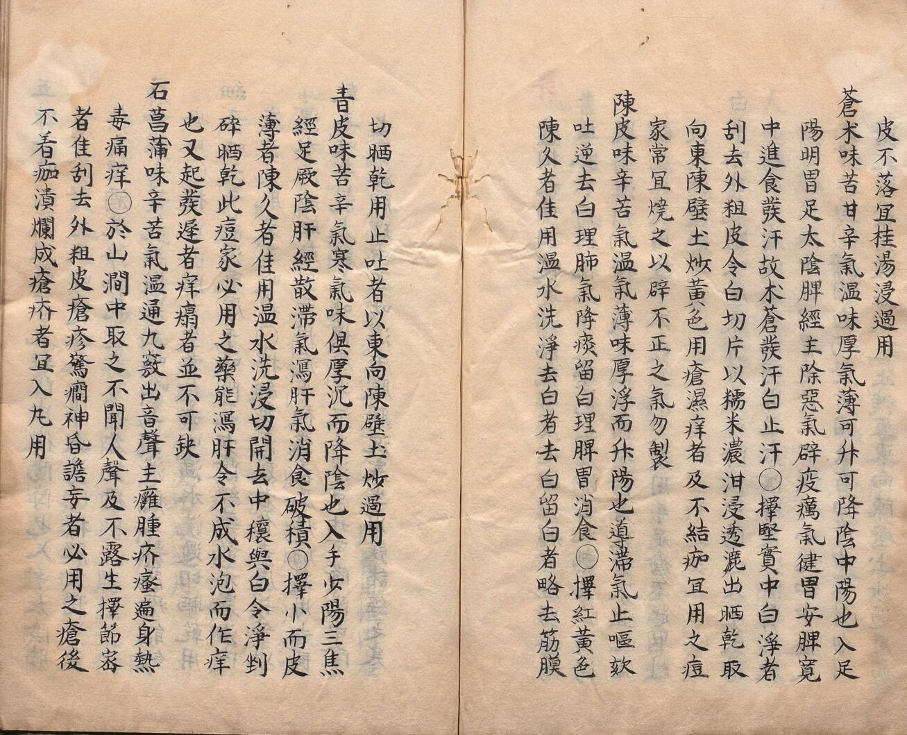 痘疹幼幼心书 17卷 吕献策（明）写本 ,文政3年插图7