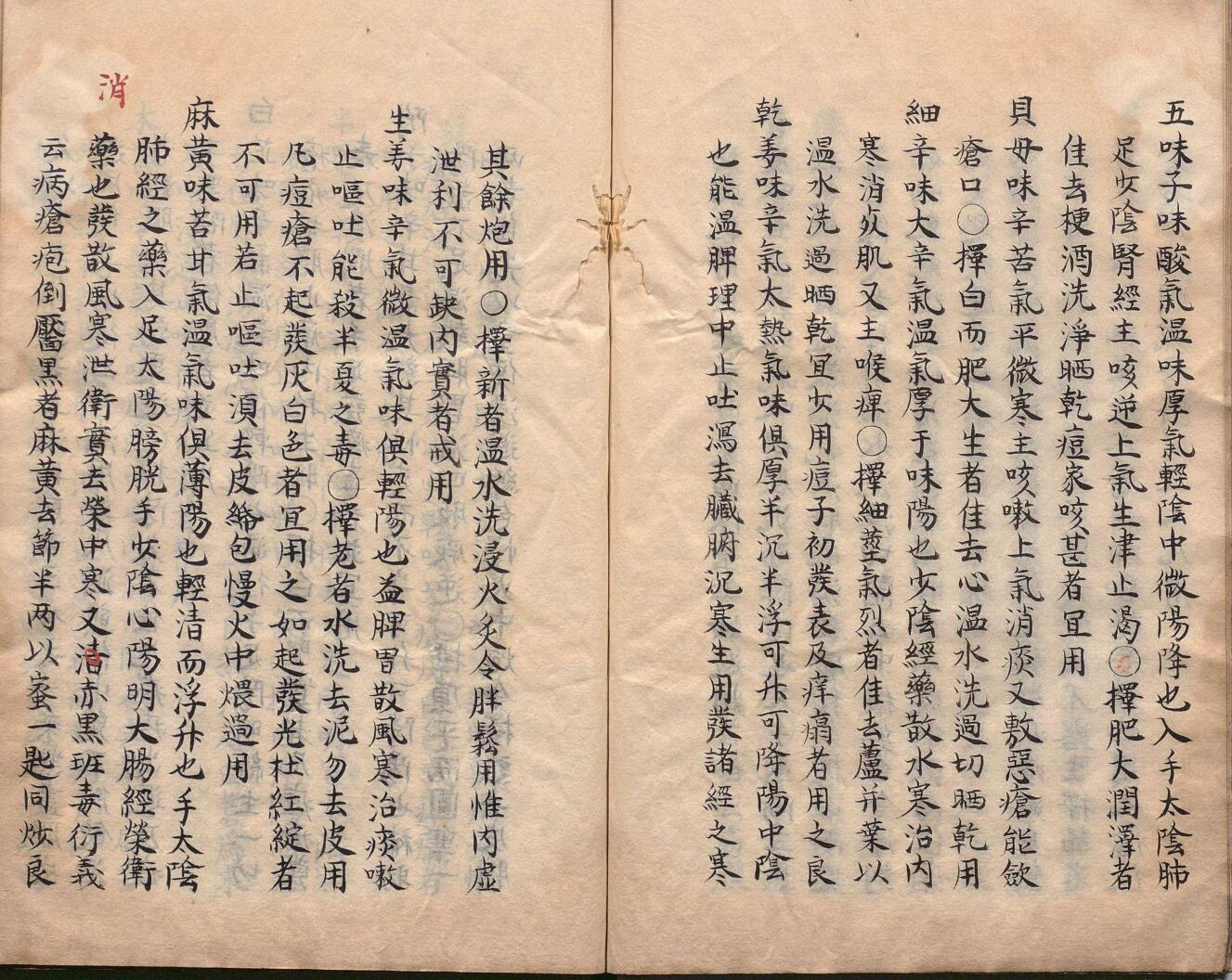 痘疹幼幼心书 17卷 吕献策（明）写本 ,文政3年插图9