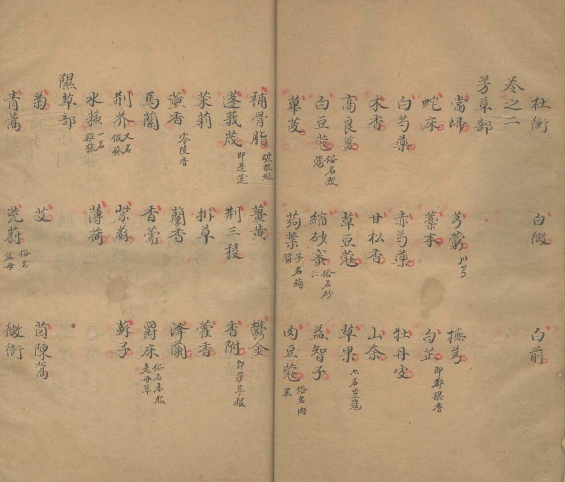 得宜本草插图9
